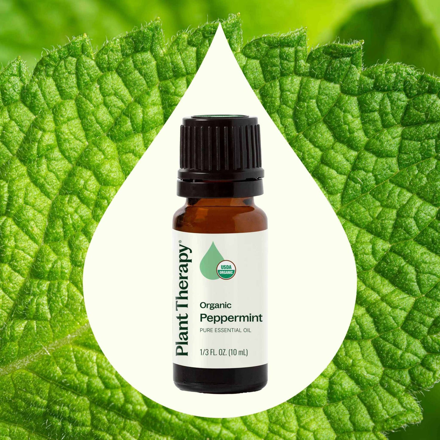 Plant Therapy - Organic Peppermint Essential Oil 10 mL