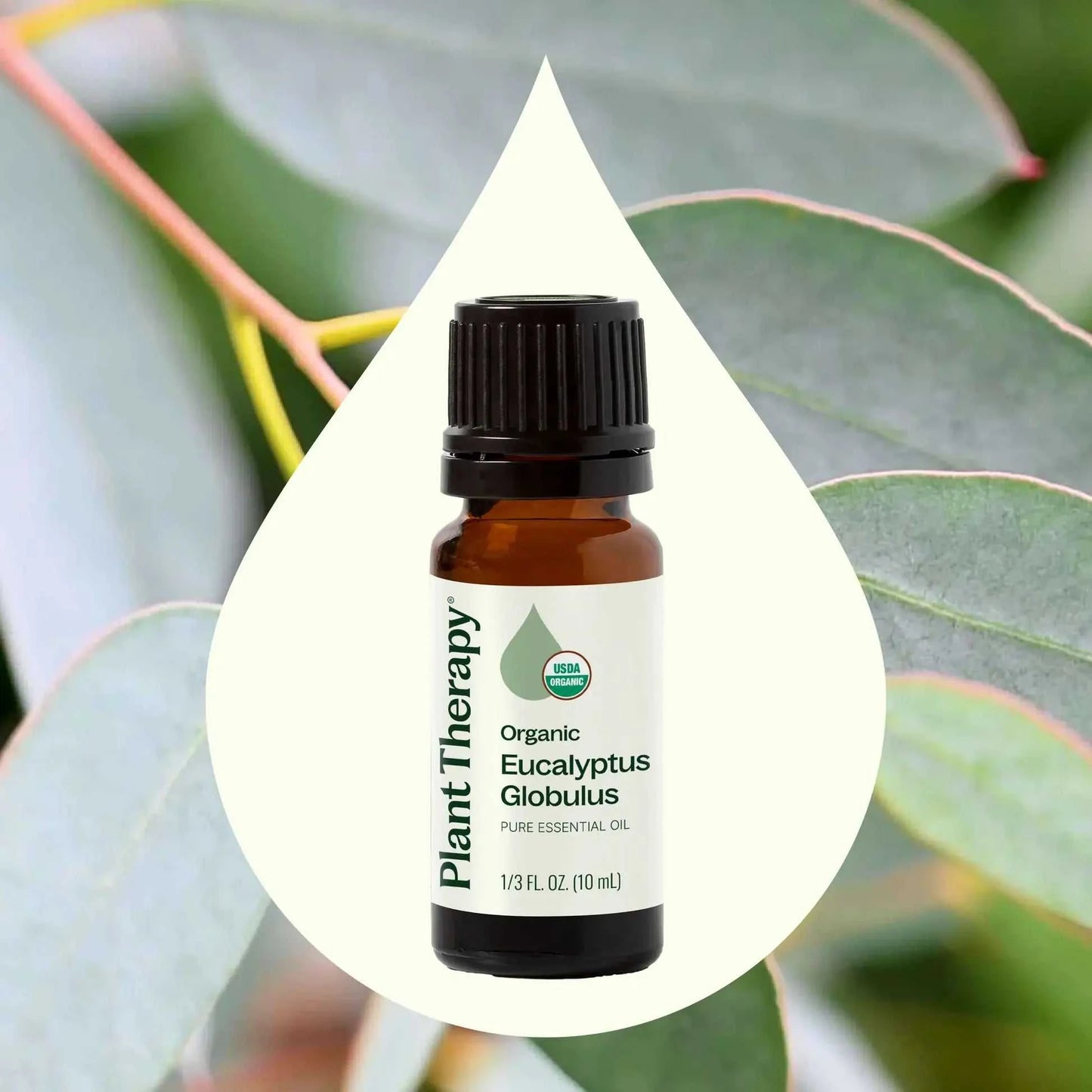 Plant Therapy - Organic Eucalyptus Globulus Essential Oil 10 mL
