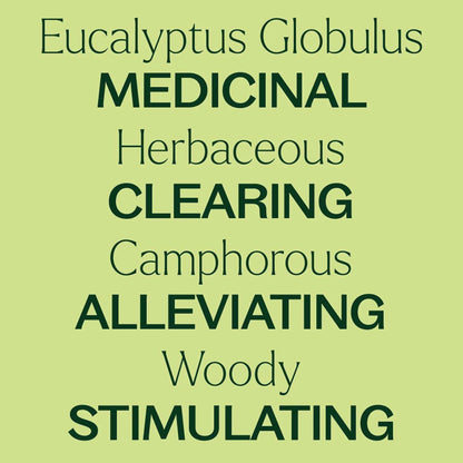 Plant Therapy - Organic Eucalyptus Globulus Essential Oil 10 mL