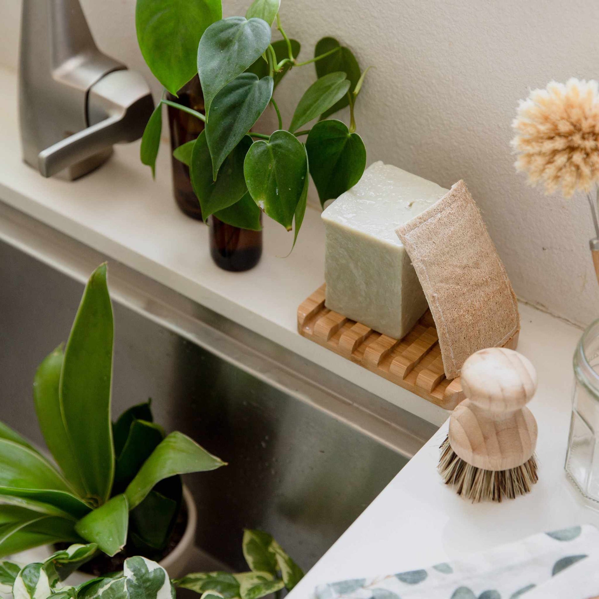 Eco-friendly loofah and cellulose kitchen sponge next to plants by a sink.