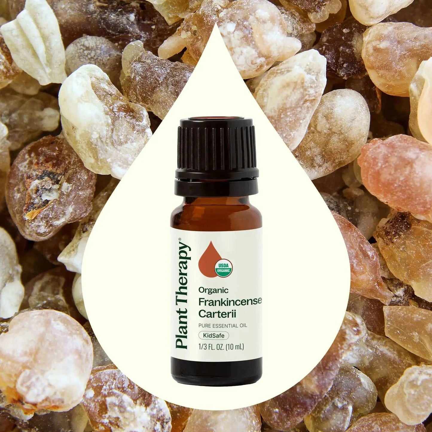 Plant Therapy - Organic Frankincense Carterii Essential Oil 10 mL