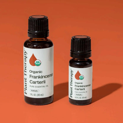 Plant Therapy - Organic Frankincense Carterii Essential Oil 10 mL