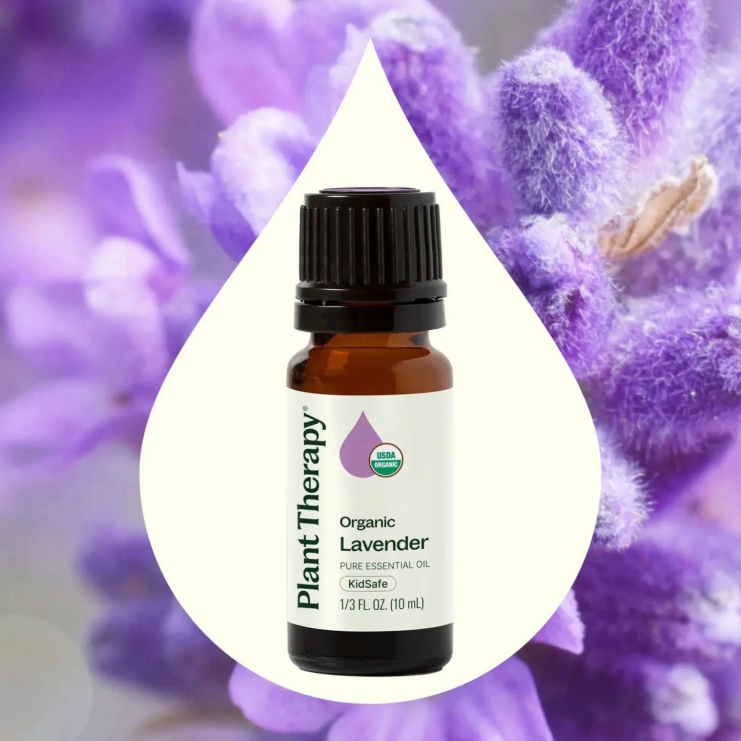 Plant Therapy - Organic Lavender Essential Oil 10 mL