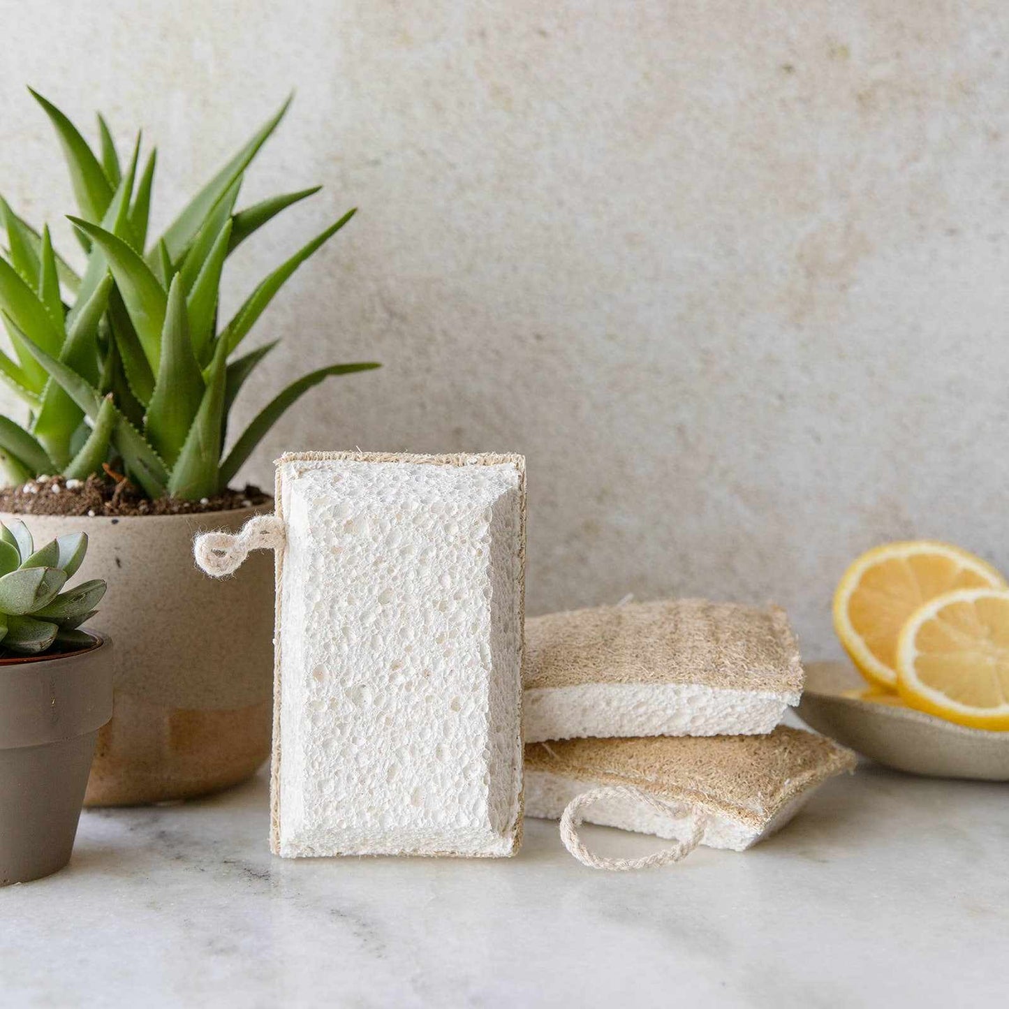 Eco-friendly loofah and cellulose kitchen cleaning sponges with plants and lemons for natural sustainable cleaning