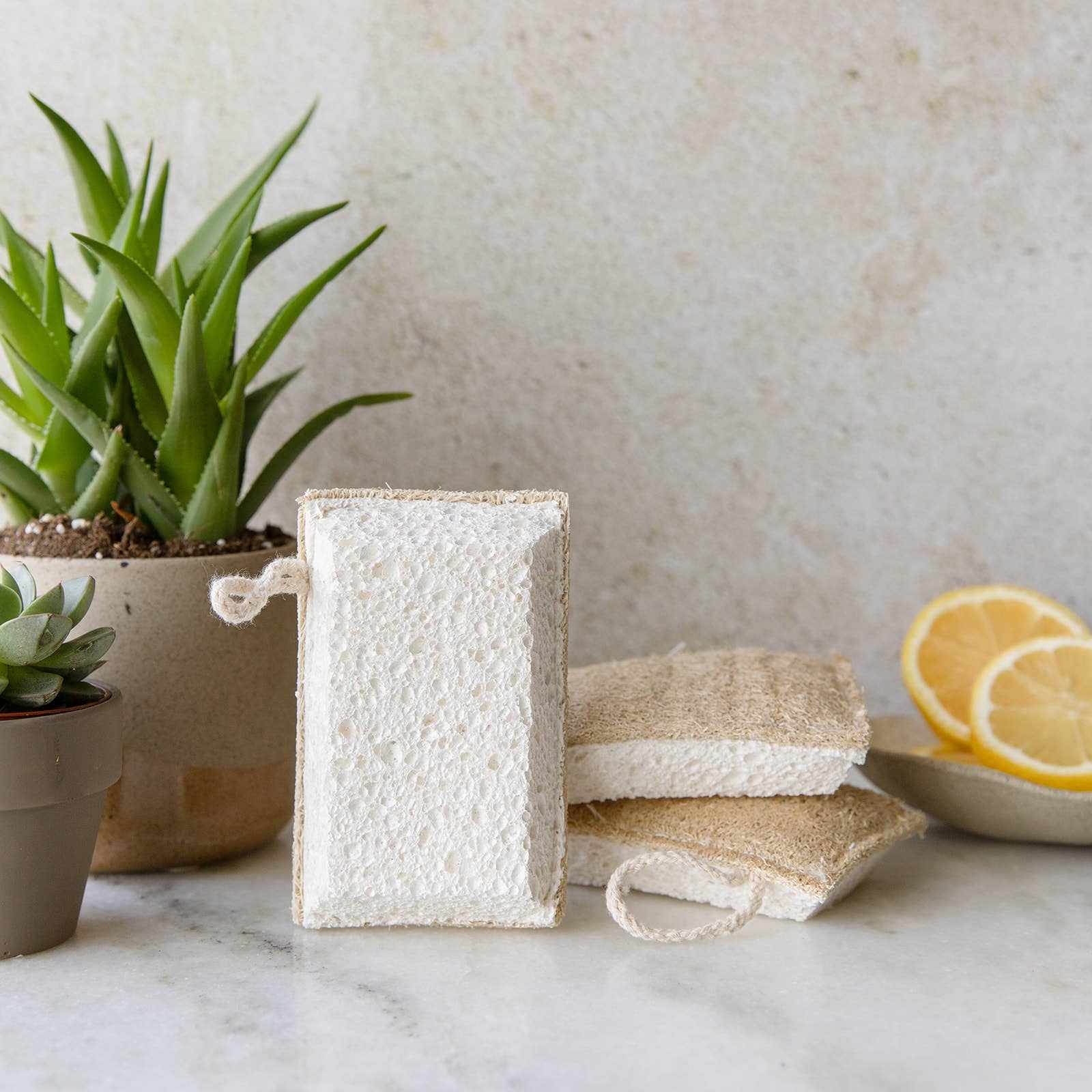 Eco-friendly loofah and cellulose kitchen cleaning sponges with plants and lemons for natural sustainable cleaning