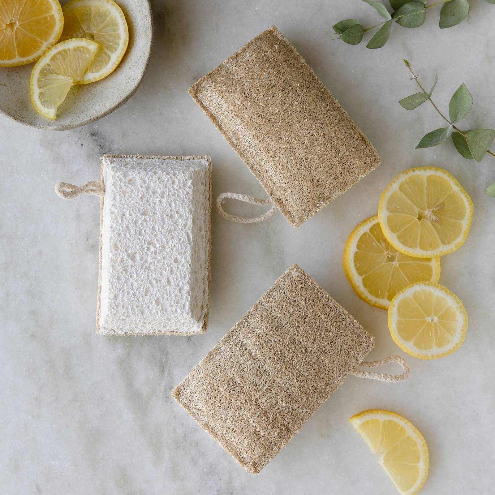 Eco-friendly loofah and cellulose kitchen sponges with lemons, biodegradable and sustainable cleaning solution
